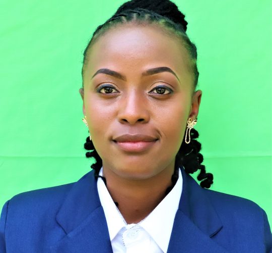 HON. MUTHONI SUSAN MWENDE NOMINATED MCA.